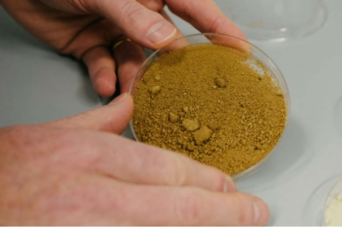 Finnish scientists create 'sustainable' lab-grown coffee