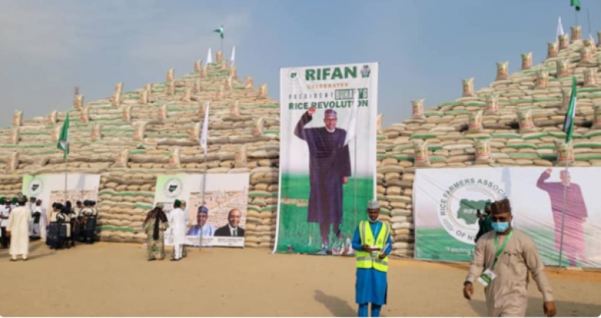 Emefiele: Through anchor borrowersâ€™ programme, Nigeriaâ€™s rice mills increased from six to 50