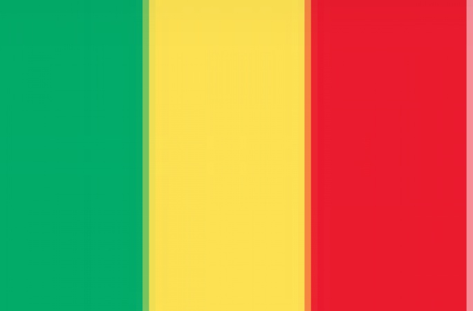 French soldier killed in mortar attack in Mali - Elysee