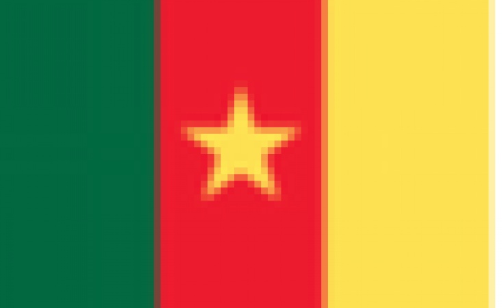 Nightclub blaze kills at least 16 in Cameroon's capital