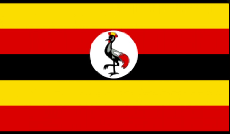Uganda responds to UN court ruling on DR Congo case