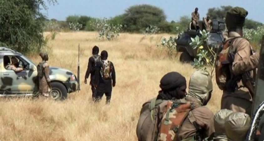 Boko Haram kills eight, razes village in Borno