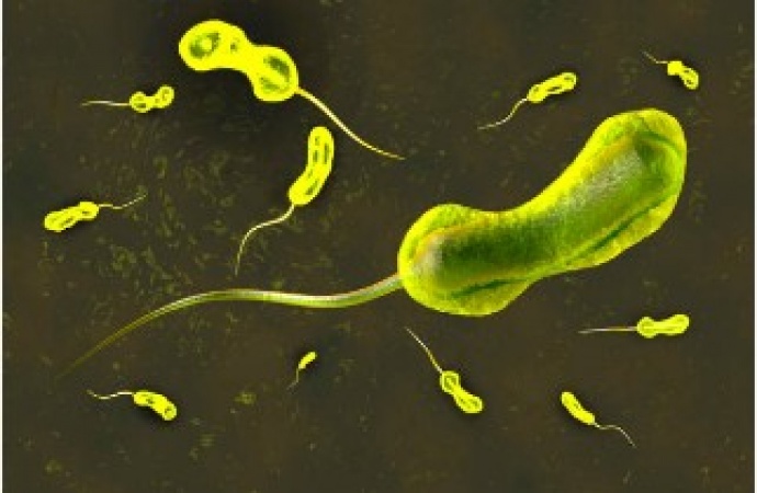President Chakwera Launches Cholera Campaign After 1,316 People Die