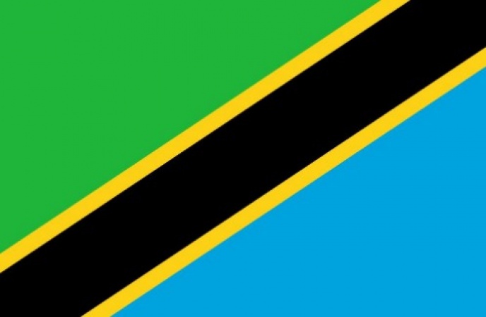 Tanzania bans boarding for lower primary pupils