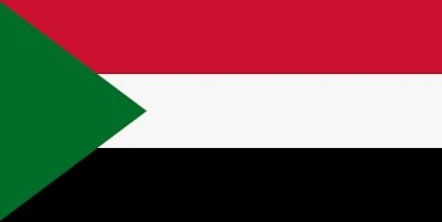 Gold miners killed in Sudan collapse