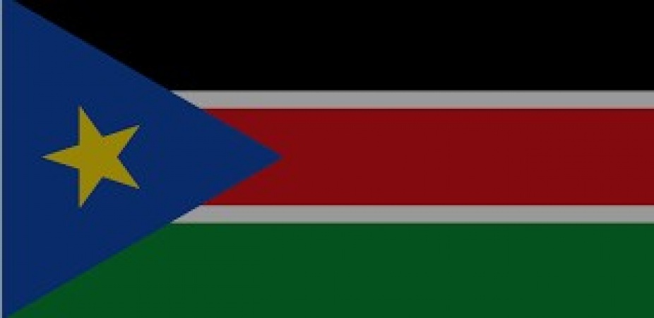 South Sudan envoy urges nationals to return, invest at home