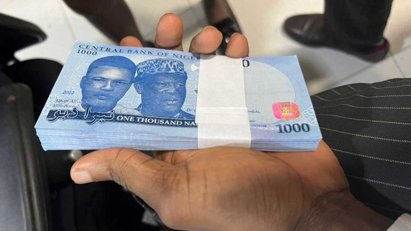 World Bank lists naira among worst-performing currencies in Africa