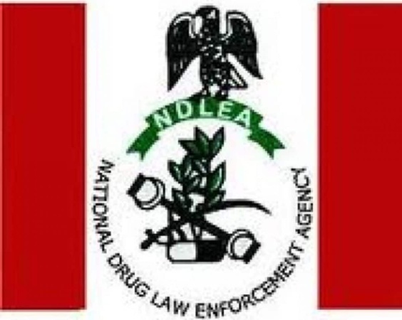 Mohbadâ€™s death: NDLEA being investigated â€“ Police