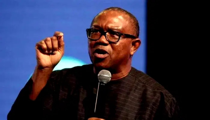 I'v'e done my part; do better as Prof, Peter Obi replies Soludo