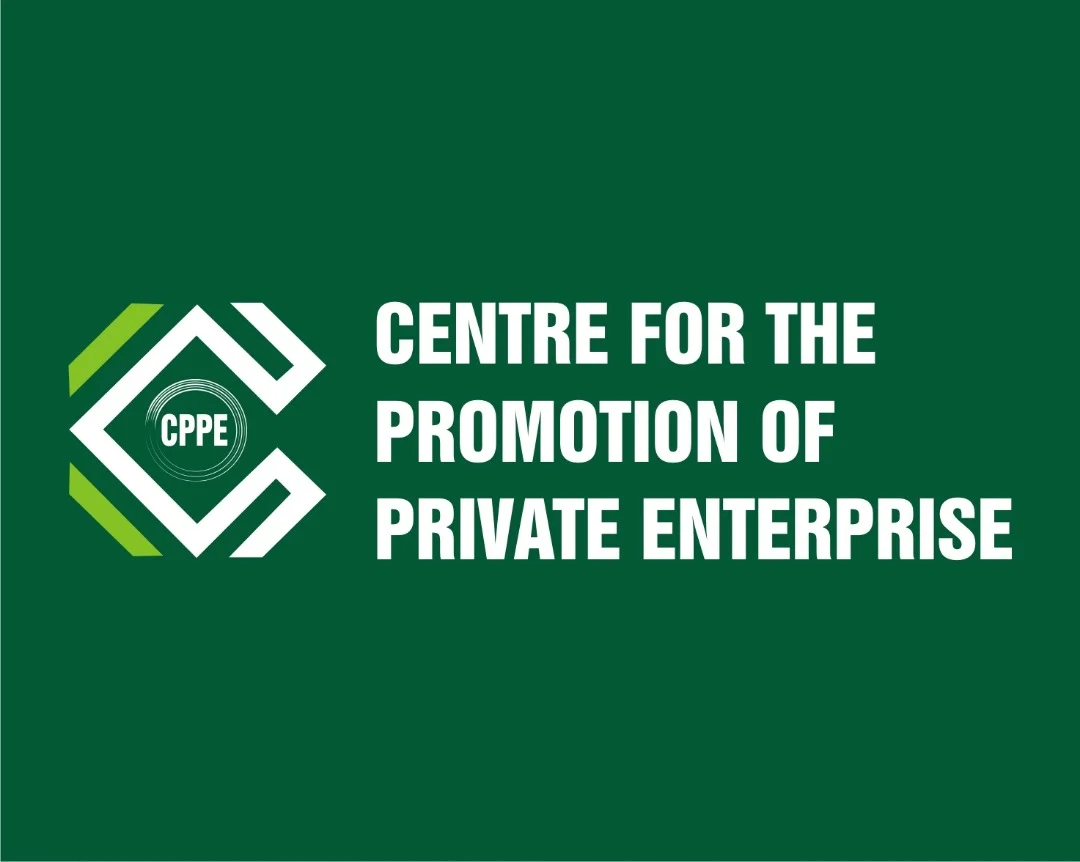 Naira to dollar exchange rate stability most visible achievement for Nigerian economy in 2025 — CPPE