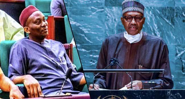 Reps Minority Faults Buhariâ€™s UNGA Speech, Says Terrorists â€˜Emboldened Under His Watchâ€™
