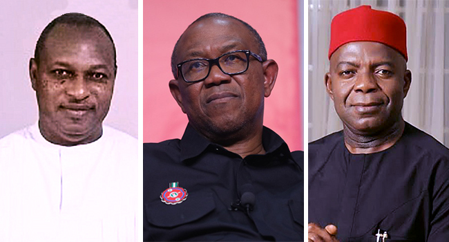 Gov Elections: Labour Partyâ€™s Hopes Hang On Abia, Enugu