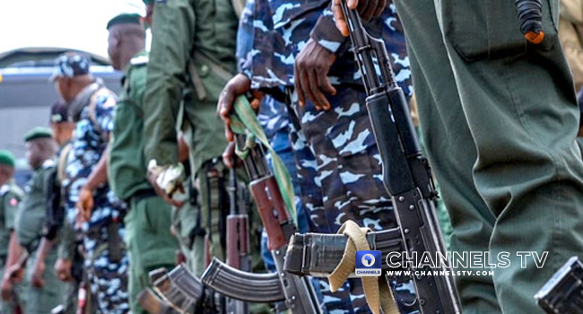 â€˜The Earlier, The Betterâ€™, Ex-DSS Director Urges Govs To Accelerate State Police