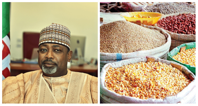 Food Security: FG Injects â‚¦309bn Into Agriculture In One Year, Says Minister