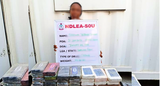 Woman Hides 23.50kg Cocaine Worth ?5bn In Children’s Room – NDLEA