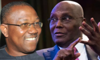 PDP should apologize to Peter Obi over speculated merger – Group