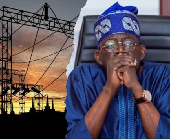 Why power sector crisis won’t end soon, by electricity workers