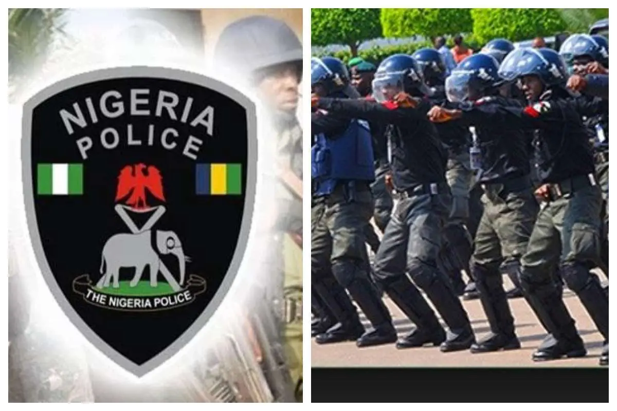 Police in Kaduna apprehend serial goat thief