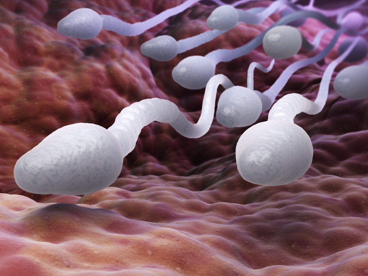 Infertility: Men responsible for 60 per cent causes – Expert bares it all