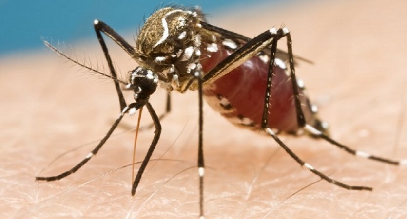 Nigeria Needs N1.89trn To Tackle Malaria – Health Minister