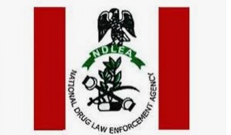 NDLEA seizes N6bn worth of drugs in Apapa