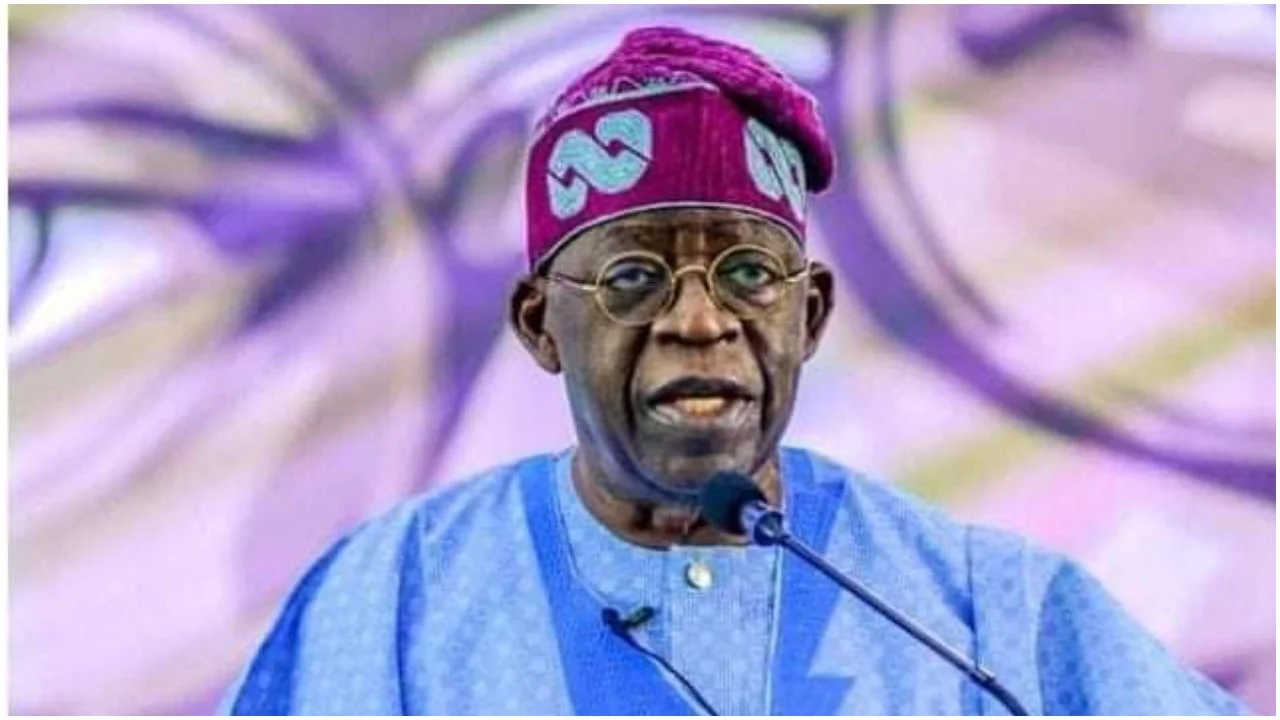 2023: You are a paper candidate, APC is dead "“ PDP fire back at Tinubu