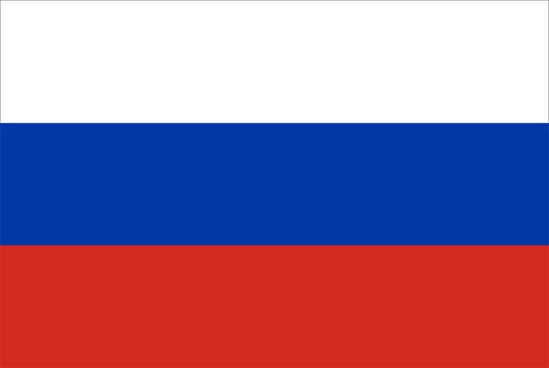 Russia arrests young woman over death of top military blogger