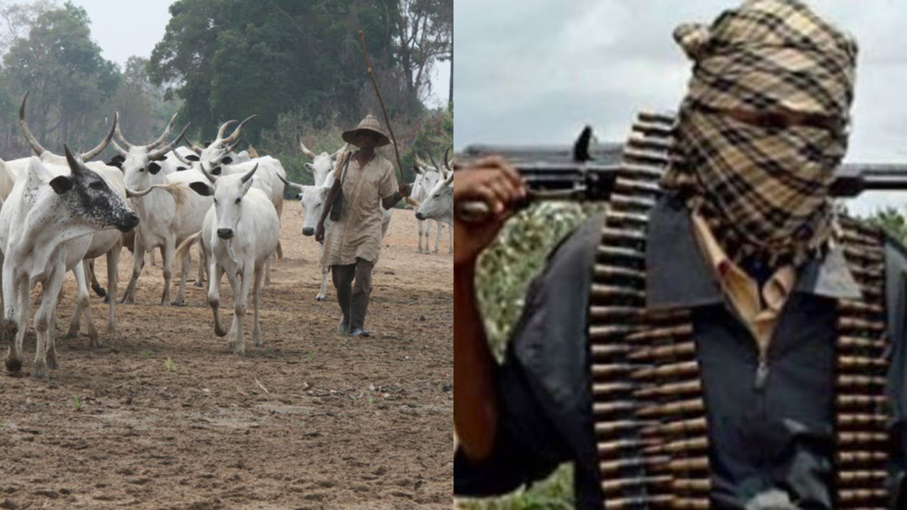 Many feared dead, others injured as herdsmen attack Enugu community