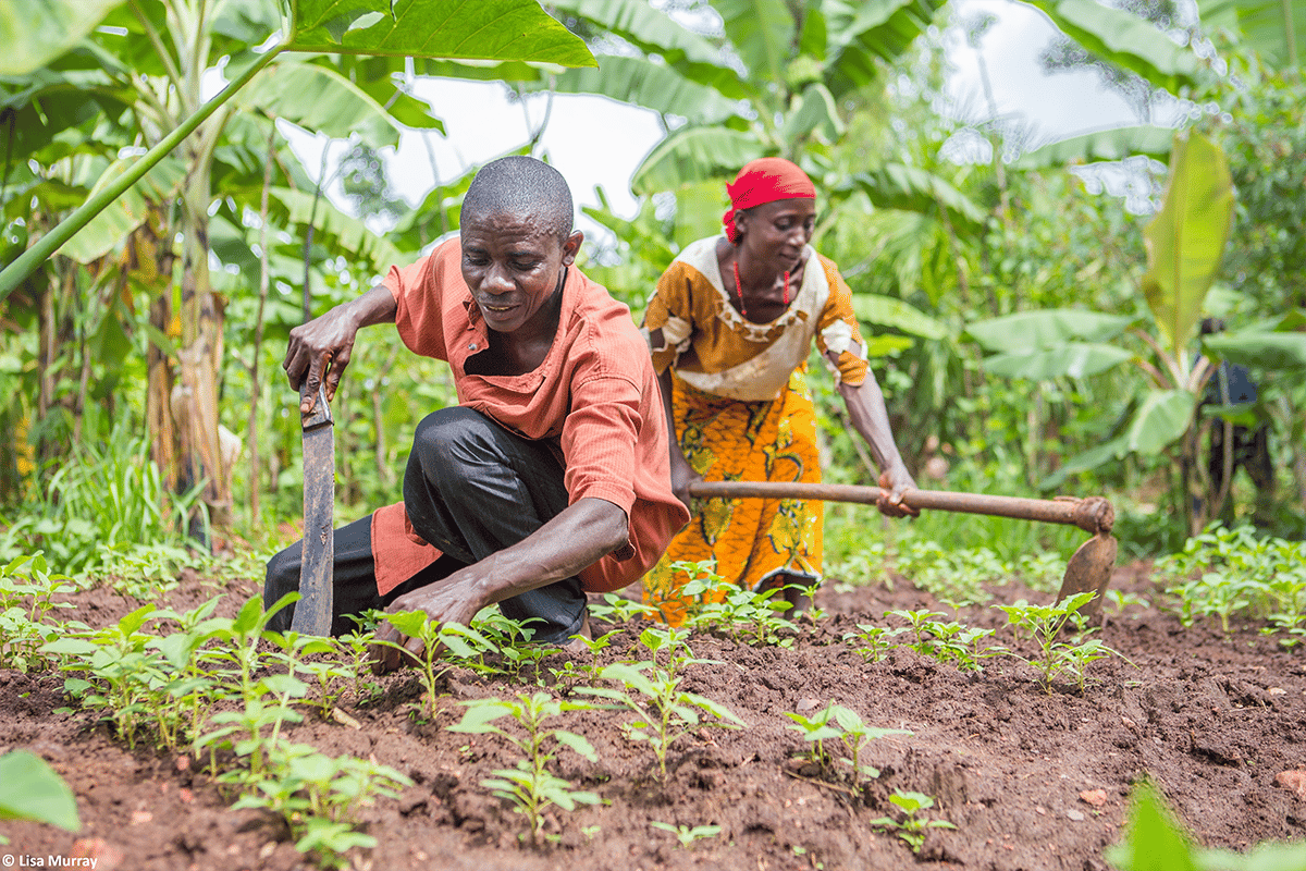 Poor rural farmers hardest hit as anti-snake venom remains scarce worldwide